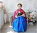 Anna Winter Dress Disney Frozen Inspired Costume CosplayKid Halloween 3T-10Y