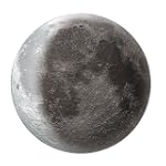SAVE $9.1 - Moon In My Room $20.89