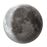 Uncle Milton Moon In My Room ~ Uncle Milton