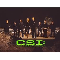 CSI: Crime Scene Investigation, Season 04