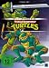 51O1BKXPjfL. SL75  Amazon DVD Box Sets: Klassiker Serien wie die Turtles, He Man oder Mila Superstar
