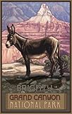 Northwest Art Mall 11 x 17 Poster Grand Canyon Burro by Paul A. Lanquist