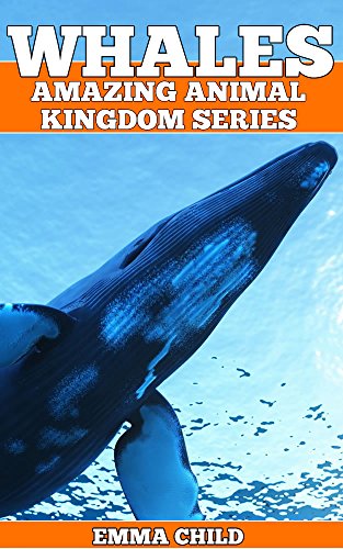 WHALES: Fun Facts and Amazing Photos of Animals in Nature (Amazing Animal Kingdom Book 16)