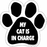 Imagine This Paw Car Magnet, My Cat is in Charge, 5-1/2-Inch by 5-1/2-Inch