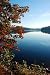 Wallmonkeys Peel and Stick Wall Decals - Fall Leaves - 24