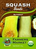 51O1UOxGYVL. SL160  Organic Butternut Squash Seeds
