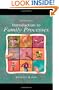 Introduction to Family Processes