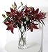 (00654661) Autograph Le BaronÂ® Lilies in Miscellaneous