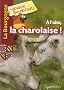 A l'aise, la charolaise !