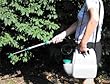 Battery Powered Sprayer
