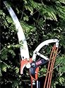 Telescopic Ratchet  By Pass  Tree Pruner Lopper With 30cm Saw