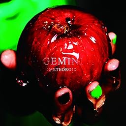 GEMINI [TYPE-B]