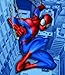 Spiderman Fleece Throw