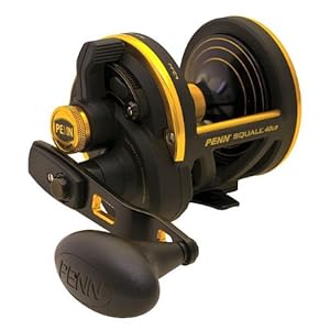 Penn Squall 50LD Levelwind Conventional Reel - 30/500
