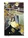 Howe Caverns, New York - Golden Cascade and Natural Bridge View Giclee Poster Print, 9x12