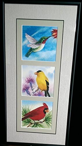 Framed Print from Original Watercolor, signed by artist, Cardinal, Goldfinch, Hummingbird