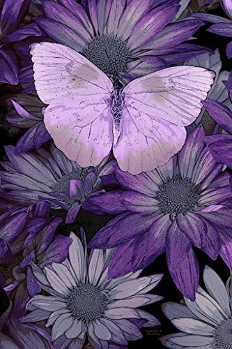 Purple Butterfly Painting Giclee Print on Canvas, Stretched and Framed, Modern Home Decoration Wall Art,8 By 10Inch,Ready To Hang