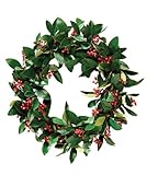 Skimmia Evergreen Leaves and Red Berries Faux Wreath (22 inch)