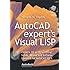 AutoCAD expert's Visual LISP
