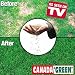 Canada Green Grass Lawn Seed Mixture 4 LBS Bag