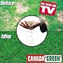 Canada Green Grass Lawn Seed Mixture 4 LBS Bag