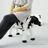 ��ͤ��¤äƤ�����ס��¤�������Τ̤�����ߡ��¤������Ѳٽ�80KG��