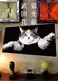 猫光線