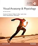 Visual anatomy & physiology