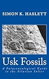 Usk fossils : a palaeontological guide to the Silurian inlier