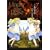 Under the Rose 5�\�t�̎^�� (�o�[�Y�R�~�b�N�X�f���b�N�X)