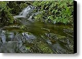 Smokey Mountain Waterfall Canvas Print / Canvas Art - Artist Stephen Vecchiotti