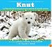 Knut: La historia del osito polar que cautivo al mundo entero/ The Story of a Little Polar Bear That Captivated the World (Spanish Edition)