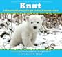 Knut: La historia del osito polar que cautivo al mundo entero