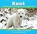 Books : Knut: La historia del osito polar que cautivo al mundo entero/ The Story of a Little Polar Bear That Captivated the World