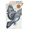 Pigeon: Poems
