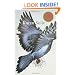 Pigeon: Poems