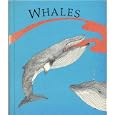 WHALES by George Shea, pictures by Anne Marshall Runyon (EMC... by George Shea and Anne Marshall Runyon