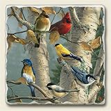 Tumbled tile trivet ~ Song Birds~ 7.5 inch square ~ code 356