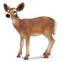 Schleich White-Tailed Doe Deer