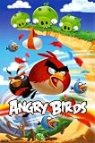 Angry Birds - Gaming Poster (Attack) (Size: 24 x 36) Poster Print, 22x34