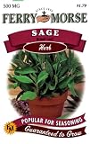 Ferry-Morse 1362 Sage Herb Seeds, Broad Leaf (500 Milligram Packet)
