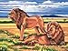 Reeves Large Acrylic Painting By Numbers - Resting Lions