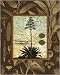 C. Capsolorum HIGH QUALITY MUSEUM WRAP CANVAS Print Karl Rattner 16x20