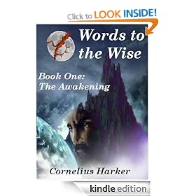 Words to the Wise: A Gothic Saga. Book One (The Awakening)