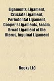 Ligaments: Ligament, Cruciate Ligament, Periodontal Ligament, Cooper's Ligaments, Fascia, Broad Ligament of the Uterus, Inguinal-
