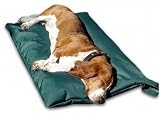 Dog Ruff� Extra Large Waterproof Dog Bed with Memory Foam Crumb Filling 120x100cm (47x39 inches)