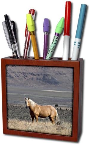 Danita Delimont - Horses - USA, Oregon, Harney County, Steens Mountain. A single wild horse. - 5 inch tile pen holder (ph_208738_1)