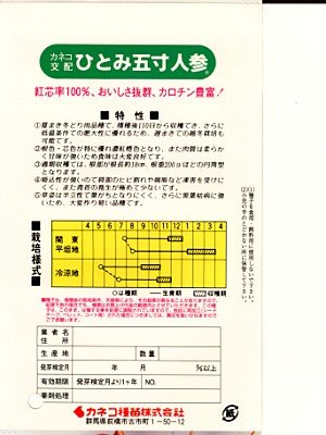 ひとみ五寸人参　カネコのニンジン種です