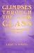 Book Glimpses Through The Dark Glass