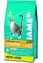 Cat Food - Dry Iams - Iams Cat Light Chicken 1.5kg